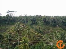 Indonesien-Bali-2