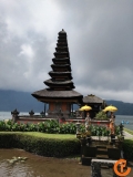 Indonezja - Bali sowy