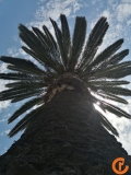 USA - Kalifornia