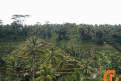 Indonezja-Bali-1